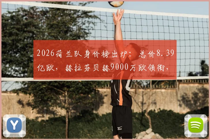 2026荷兰队身价榜出炉:总价8.39亿欧,赫拉芬贝赫9000万欧领衔,附详细球员身价排行分析